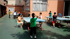 柏苑小学第二届“夏日杯”乒乓球比赛精彩上演