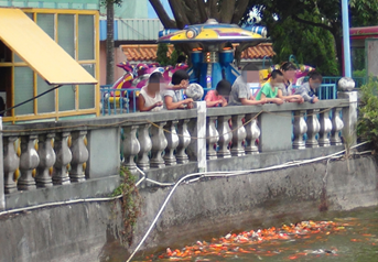 QQ截图20141105141014.png